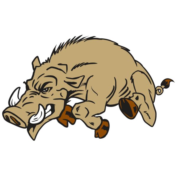 AR20 RAZORBACK 37 RQC Thumbnail